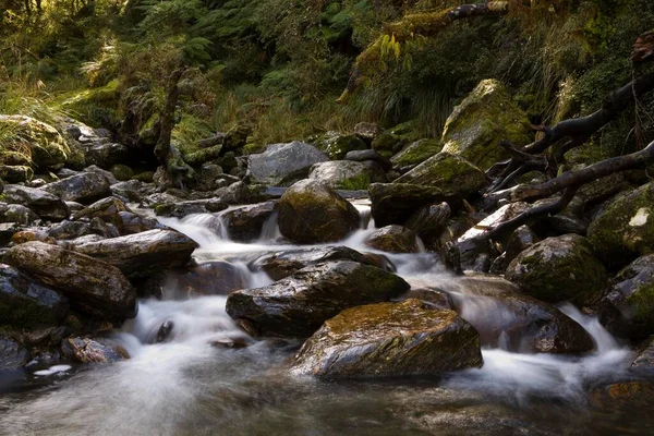 Mountain Stream Copland Track West Coast South Island New Zealand — Stockfoto