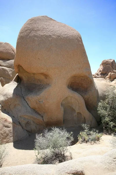 Skull Rock Geologic Formation Joshua Tree National Park California Usa — Stockfoto
