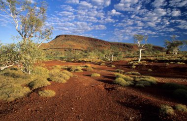 Karijini National Park, Hamersley Range, Pilbara clipart