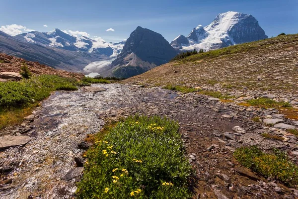 Fluxo Glaciar Frente Mount Robson Mount Robson Provincial Park British — Fotografia de Stock