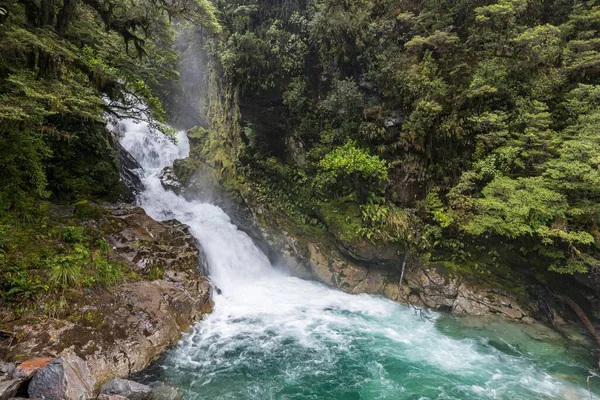 Falls Creek Waterfall Milford Highway Rainforest Fiordland National Park Southland — Stock Photo, Image