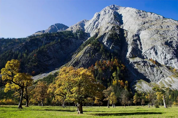 Paisagem Montanha Árvores Bordo Tirol Áustria Europa — Fotografia de Stock