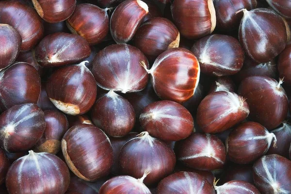 Chestnuts Background Close View — Stockfoto