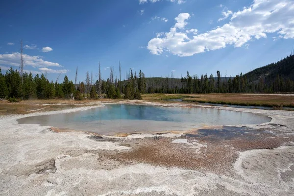 Green Spring Black Sand Basin Yellowstone National Park Wyoming Usa — Foto de Stock