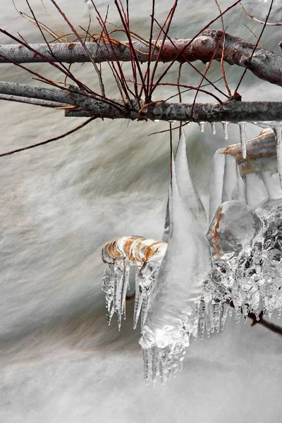 Icicles Hanging Frozen Creek — ストック写真