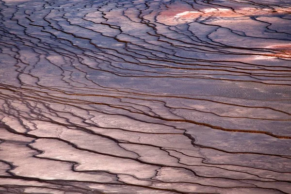 Mineral Deposits Grand Prismatic Spring Midway Geyser Basin Yellowstone National — Stock Photo, Image