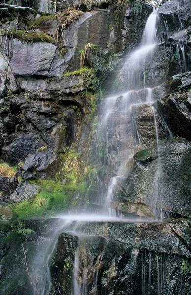 Small Waterfall Cascade Range Washington State Usa North America — Stockfoto