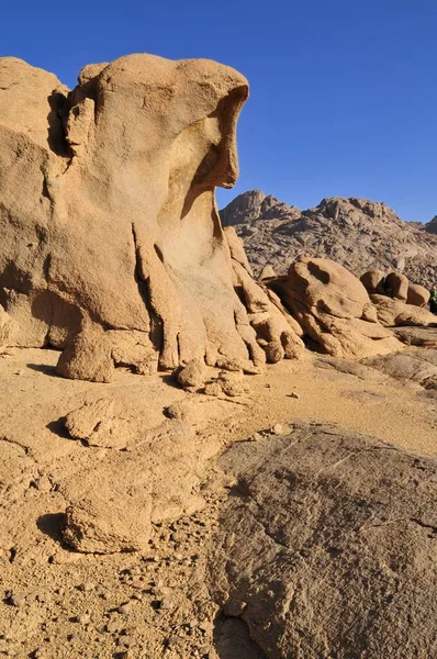 Granitlandschaft Hoggar Ahaggar Gebirge Wilaya Tamanrasset Algerien Sahara Nordafrika Afrika — Stockfoto