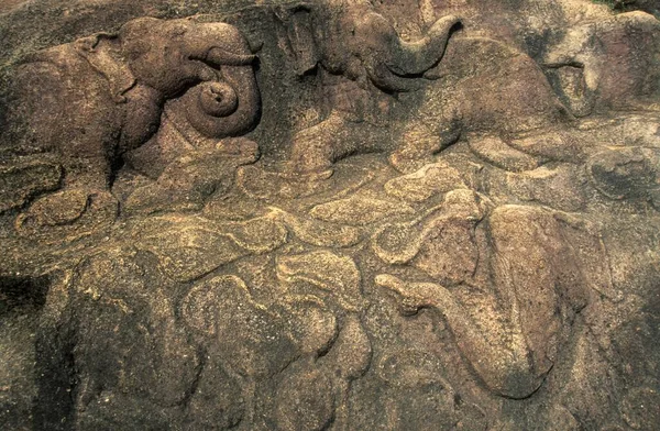 Elephant relief at the royal city of Anuradhapura, Unesco World Heritage Site, Sri Lanka, Asia