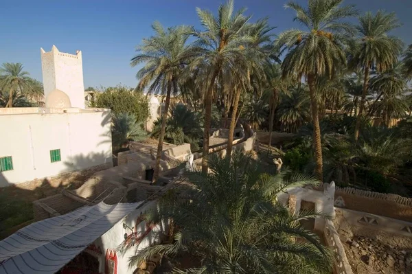 Ogród Palmowy Ghadames Ghadamis Światowe Dziedzictwo Unesco Libia Afryka — Zdjęcie stockowe