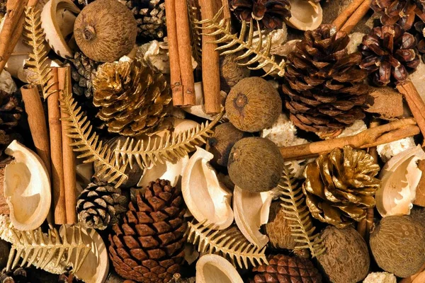 Christmas Decoration Differents Nuts Spices Pine Cones — Φωτογραφία Αρχείου
