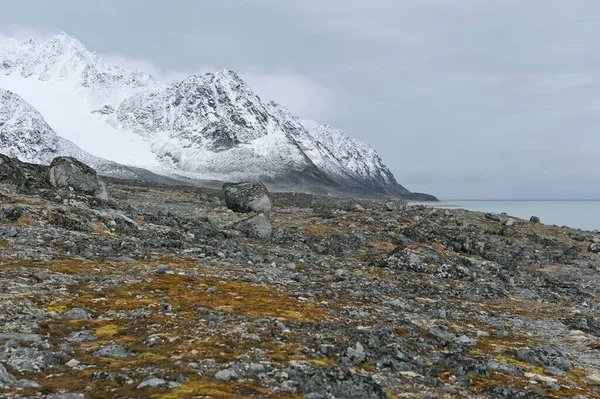 Sziklás Táj Mohával Magdalenefjorden Spitsbergen Spitsbergen Sziget Svalbard Szigetcsoport Svalbard — Stock Fotó