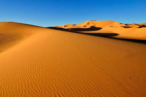 Sand Dunes Erg Takaraft Erg Takaraft Immidir Mouydir Sahara Tamanrasset — стоковое фото