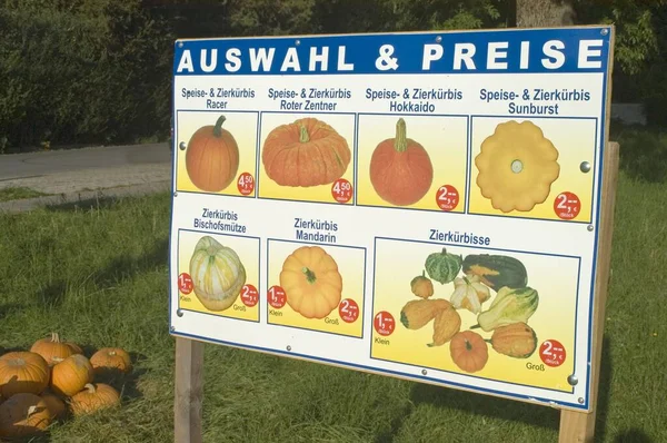 Sale Sign Prices Cucurbits Gourds — Stock Photo, Image