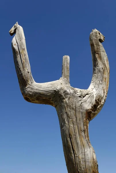 Horse Head Horse Totem Fetish Saljugem Sailughem Saylyugem Mountains Altai — 스톡 사진