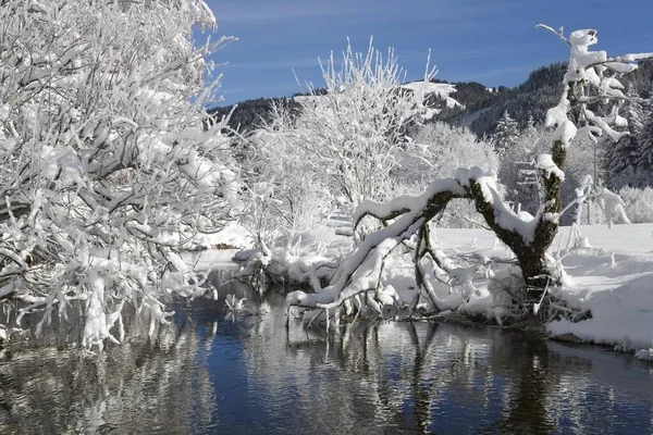 Warme Sense River Schwarzsee Pre Alps Kaiseregg Freiburg Canton Switzerland — Stockfoto