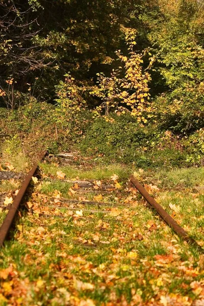 Unused Track Autumn Deutsche Bahn — Stock Photo, Image