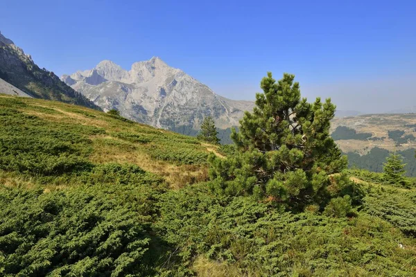 Uitzicht Kom Ljevorijecki Mountain 2464 Komovi Mountains Montenegro Crna Gora — Stockfoto