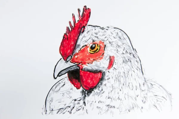 Head Rooster Drawing Gerhard Kraus Kriftel Germany Europe — Photo