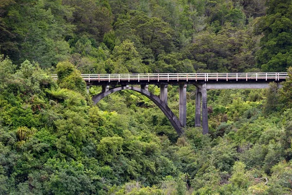 Eisenbahnbrücke Dschungel Charleston Westküstenregion Neuseeland Ozeanien — Stockfoto