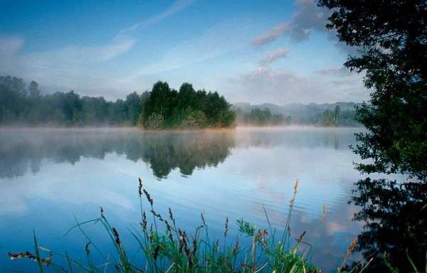 Moor Pond Morning Haze Baden Wurttemberg Germany Europe — стокове фото