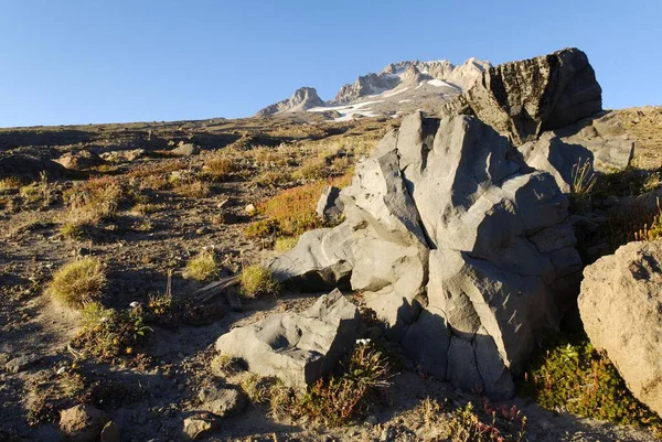 Lava Bombs South Flank Mount Hood Volcano Cascade Range Oregon — Stock Photo, Image