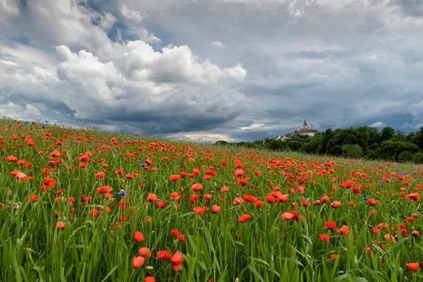 Thunderstorm Monastery Andechs Poppy Field Cornflowers Pilgrimage Church Starnberg District — Foto de Stock