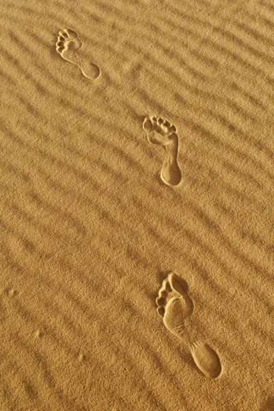 Stopy Pouštním Písku Vlnky Saharská Poušť Alžírsko Severní Afrika Afrika — Stock fotografie