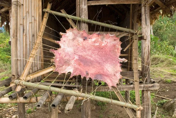 Blutige Felltrocknung Auf Einem Holzrahmen Kachin State Myanmar Asien — Stockfoto