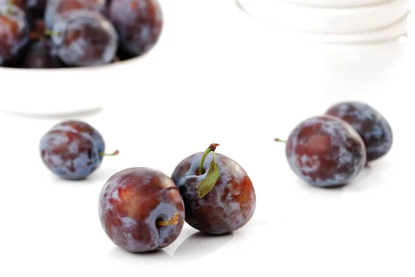 Plums White Background Close View — Stock Photo, Image