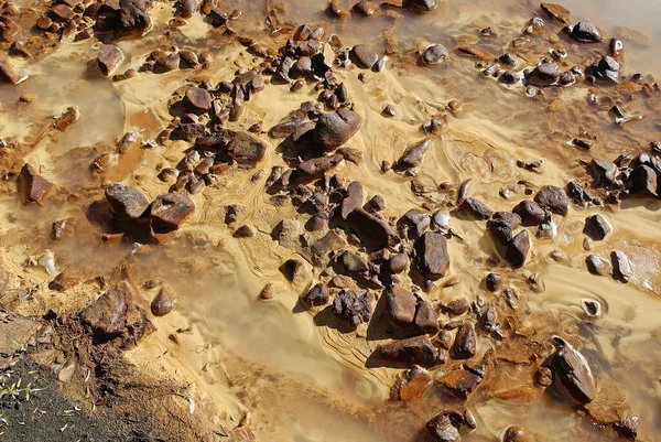 Mineral Bearing Mud Mineral Creek Dempster Highway Yukon Territory Canada — Stockfoto