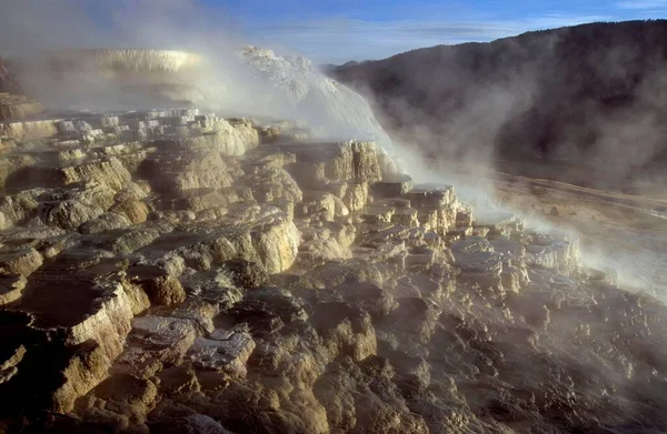 Canary Spring Mammoth Hot Spring Area Yellowstone National Park Вайомінг — стокове фото