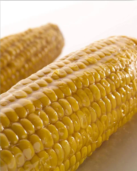 Corn Cob — Stock Photo, Image