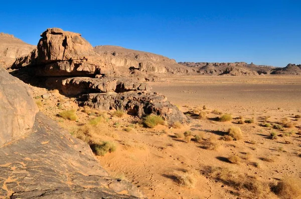 Homokkő Képződés Oeud Wadi Tasset Fennsíkon Tassili Ajjer Nemzeti Park — Stock Fotó