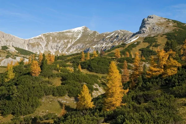 Autumn Hochmoelbing Mountain Styria Austria Europe — Stock Photo, Image