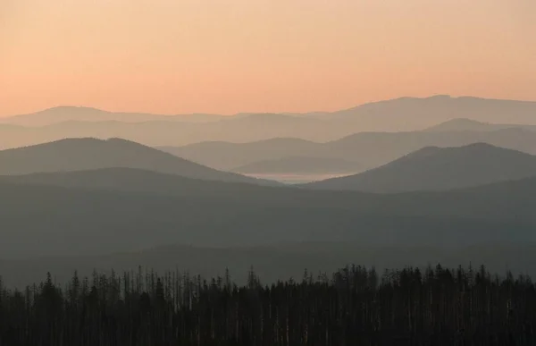 Vista Sulla Foresta Bavarese Dal Lusen All Alba Baviera Germania — Foto Stock