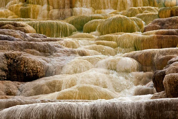 Sinter Terraces Hot Springs Minerals Jupiter Spring Mammoth Hot Springs — Foto Stock