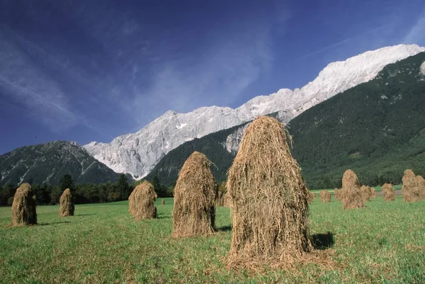 Meadow Haystacks Tyrol Austria Europe — Foto de Stock