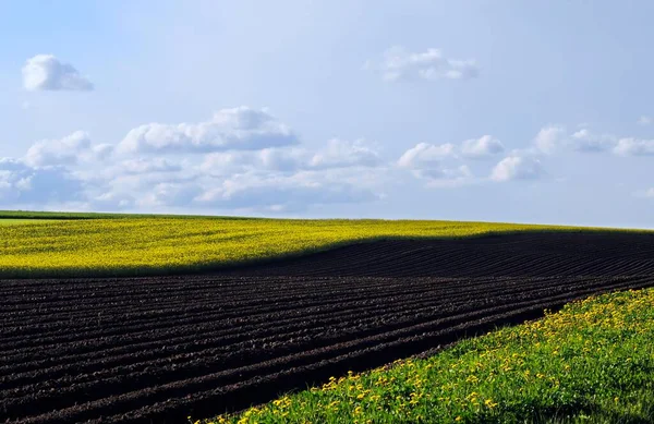 Landscape Plowed Field Flower Meadows Buchbach Waldviertel Region Lower Austria — Φωτογραφία Αρχείου