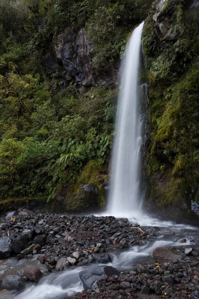 Dawson Falls Mount Egmont Taranaki North Island New Zealand Oceania — ストック写真