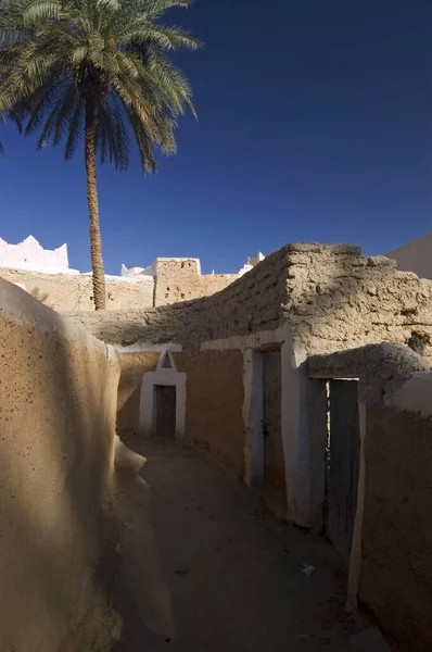 Palmengarten Ghadames Ghadamis Libyen Unesco Weltkulturerbe Afrika — Stockfoto