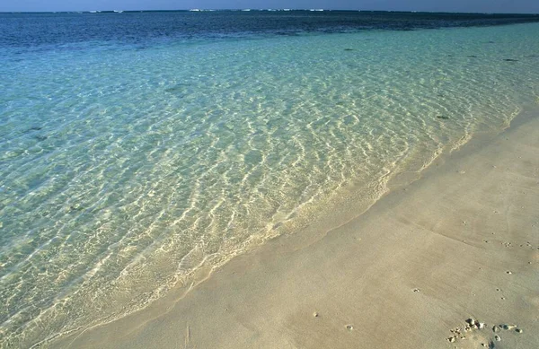 Strand Cape Range National Park Ningaloo Reef — Stockfoto