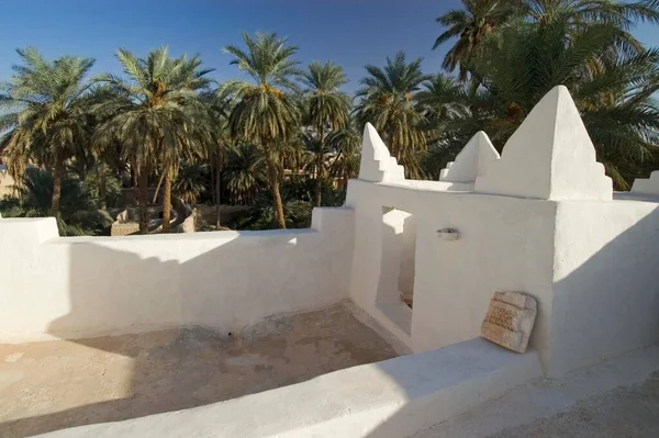 Palmengarten Ghadames Ghadamis Unesco Weltkulturerbe Libyen Afrika — Stockfoto