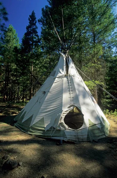 Indian Tipi Forest Oregon Usa North America — Stock Fotó