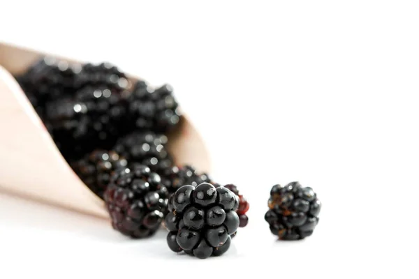 Blackberries Rubus Seho Rubus Лопате — стоковое фото