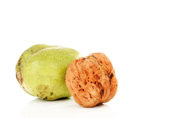 Persian Walnuts Juglans Regia Close View — 스톡 사진