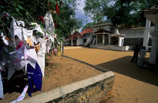 Buddhist Temple Bodhi Tree Anuradhapura Unesco World Heritage Site Sri — ストック写真