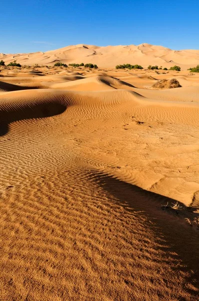 Sand Dune Erg Admer Wilaya Illizi Algeria Sahara North Africa — 图库照片