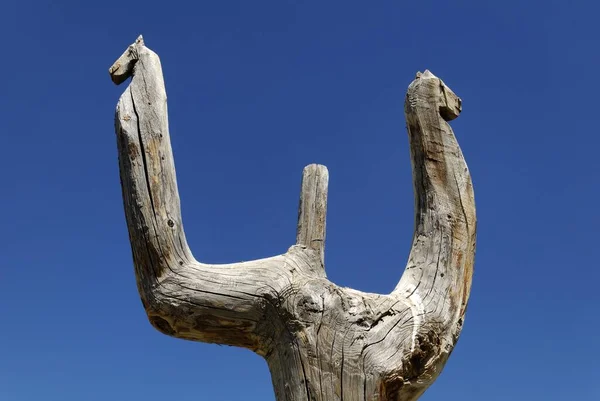 Horse Head Horse Totem Fetish Saljugem Sailughem Saylyugem Mountains Altai — Foto de Stock