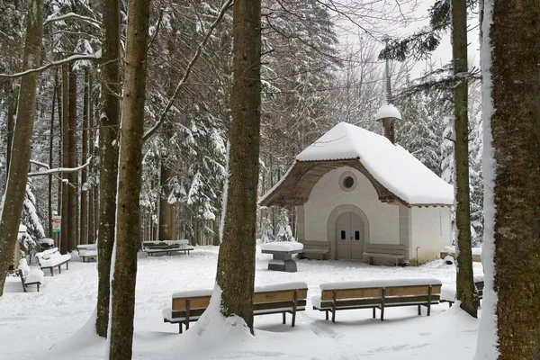 Buchechaeppeli Small Chapel Snowy Forest Canton Fribourg Switzerland Europe — Foto de Stock